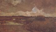 Vincent Van Gogh Marshy Landscape (nn04) oil on canvas
